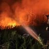 A firefighter sprays water to extinguish a raging wildfire in the Panarung area of Palangkaraya, Central Kalimantan province, on October 8, 2026. Toxic haze has shrouded parts of Indonesia, Malaysia and Singapore for weeks as Jakarta struggles to con