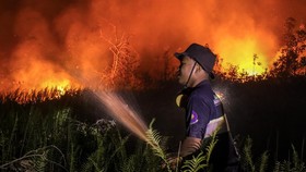 A firefighter sprays water to extinguish a raging wildfire in the Panarung area of Palangkaraya, Central Kalimantan province, on October 8, 2026. Toxic haze has shrouded parts of Indonesia, Malaysia and Singapore for weeks as Jakarta struggles to con