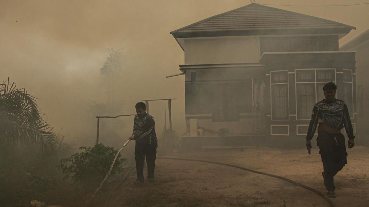 Nestapa Masyarakat Palangka Raya Tercekik Asap Karhutla