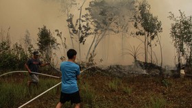 Warga berupaya memadamkan kebakaran lahan yang mendekati kawasan permukiman di Kecamatan Jekan Raya, Palangka Raya, Kalimantan Tengah, Jumat (9/10/2026). Badan Penanggulangan Bencana Daerah Kota Palangka Raya menyebutkan sejak penetapan status siaga