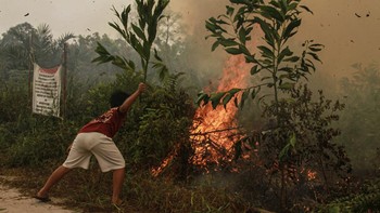 Karhutla di Palangka Raya Semakin Meluas