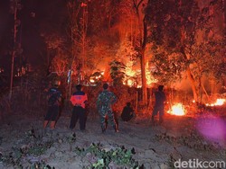Karhutla Ponorogo Tembus 341 Hektare, 17 Kecamatan Terdampak