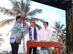 Pemerintah Siapkan 51.721 Hektare untuk Pengembangan Kelapa pada 2027