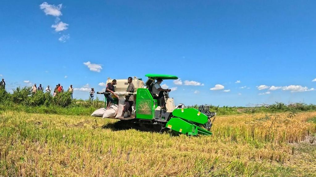 Musim Kering, Mentan Pastikan Produksi Pangan Tetap Aman