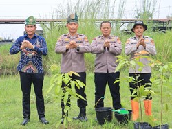 Dukung Gerakan Sejuta Pohon, Polres Rohil Hijaukan Markas