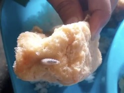 Viral Menu MBG di Banyuwangi Tahu Goreng Berbelatung