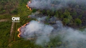 thumbnail video kebakaran hutan