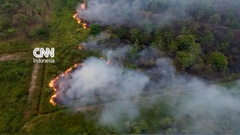thumbnail video kebakaran hutan