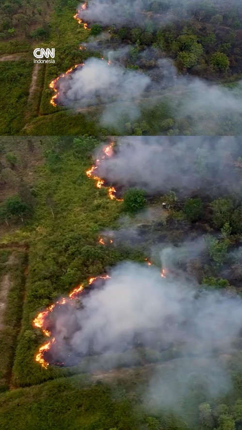 thumbnail video kebakaran hutan