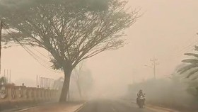 Kabut asap akibat karhutla menyelimuti Musi Rawas, Sumatera Selatan, mengganggu aktivitas petani dan kesehatan warga.