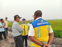 Wanam Mau Jadi Lumbung Pangan Baru di Papua, Menteri PU: Panen Perdana November