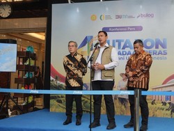 BULOG Cetak Rekor Sepanjang Sejarah, Pengadaan Beras Melampaui 4 Juta Ton