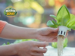 Masih Terlalu Mager untuk Olahraga Berat? Berkebun Saja, Banyak Manfaatnya