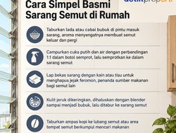 4 Cara Simpel Basmi Sarang Semut di Rumah, Bisa Pakai Ampas Kopi!