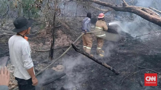 Kebakaran lahan dan hutan (karhutla) puluhan hektar meluas di Prabumulih, Sumatra Selatan, Jumat (9/10) Malam.
