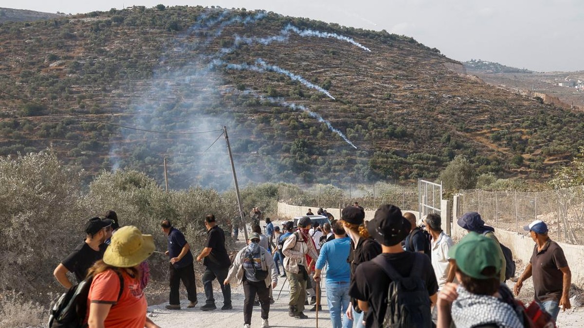 Petani Palestina Panen Zaitun, Diusir Pakai Gas Air Mata Israel
