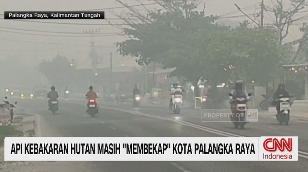VIDEO: Api Kebakaran Hutan Masih 'Membekap' Kota Palangka Raya