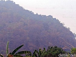 Kebakaran Gunung Jayanti Terkendali, Permukiman Warga Aman