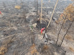 Ratusan Hektare Lahan di 2 Lokasi OKI Belum Padam Sebulan Lebih