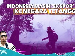 Hutan di Indonesia Masih Terbakar