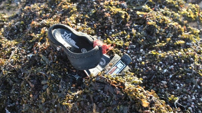 A shoe believed to belong to a migrant lies on the shore after a boat carrying about 305 people capsized and at least 109 migrants, including 15 children, have died and more than 116 are missing, according to the United Nations' International Organiz
