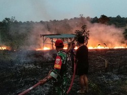 127 Karhutla Terjadi di Balikpapan Sepanjang 2026, 81 Hektare Lahan Terbakar