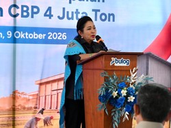 Titiek Pastikan Stok Beras Maluku Cukup, Minta Bulog Cegah Kenaikan Harga
