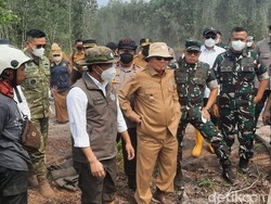 Pantau Karhutla, Menhut Paparkan Catatan Hotspot di Kalsel Sudah Turun