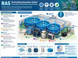 Mengenal Bioflok & RAS, Teknologi untuk Optimalkan Budidaya Ikan Modern
