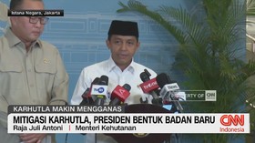 Mitigasi Karhutla, Presiden Bentuk Badan Baru
