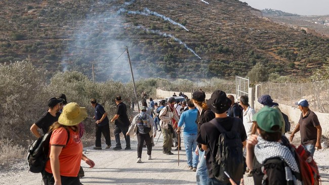 Palestinians, who pick olives during the harvest season, and foreign activists react during clashes with Israeli settlers in Palestinian-owned olive groves in the village of Deir Abu Mishal, with smoke from tear gas seen in the background, near Ramal