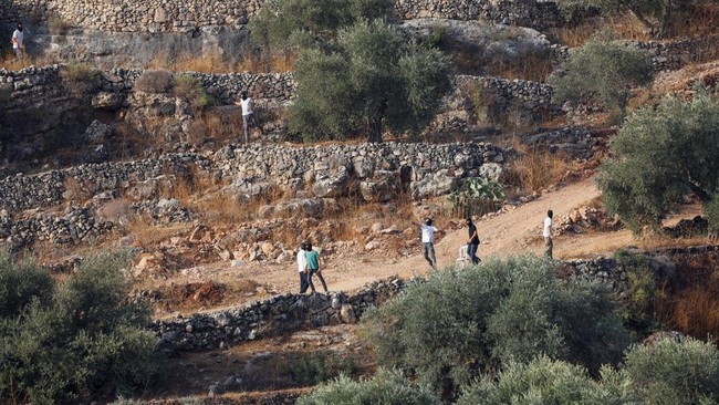 Israeli settlers stand in Palestinian-owned olive groves in the village of Deir Abu Mishal as Palestinians, who pick olives during the harvest season, evacuate during clashes near Ramallah, in the Israeli-occupied West Bank, October 10, 2026. REUTERS