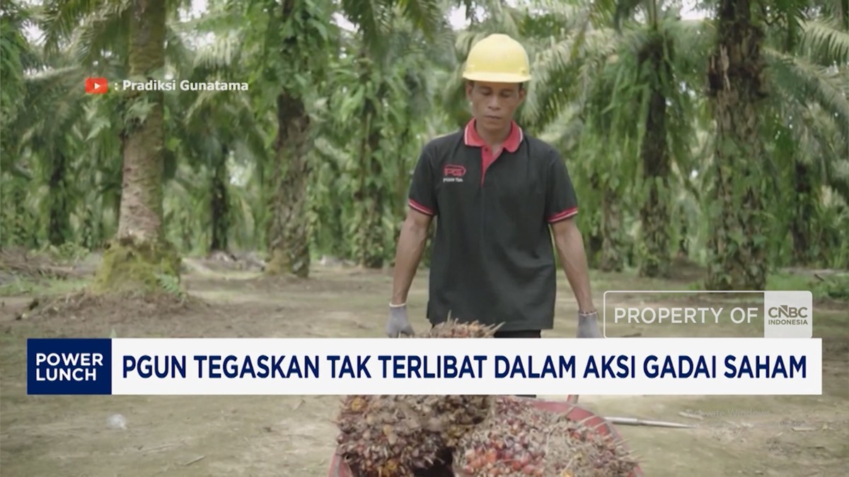 Video: PGUN Tegaskan Tak Terlibat Kredit Bank Mandiri
