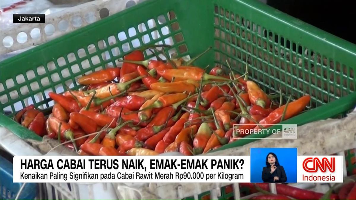 VIDEO: Harga Cabai Rawit Tembus Rp90 Ribu, Beras Ikut Naik!