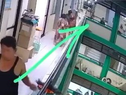 Viral di Probolinggo Kucing Dilempar dari Lantai 5 Rusunawa hingga Mati