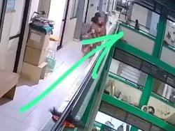 Video: Tampang Pelaku Pelempar Kucing dari Lantai 5 Probolinggo Saat Minta Maaf