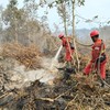 Sebanyak 10 rumah warga di KelurahanPerigi, Kecamatan Kayu Agung, Kabupaten Ogan Komering Ilir (OKI),Sumatera Selatan, nyaris ludes terbakar akibat kebakaran hutan danlahan (karhutla) yang merambat hingga ke pemukiman warga, Sabtu(11/10/2026).