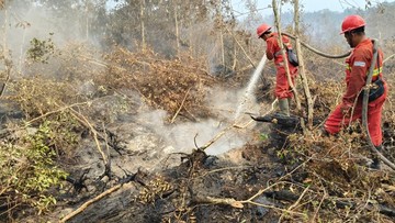 Operasi Gabungan Tiga Tim Padamkan Kebakaran Lahan di Tanjung Puting