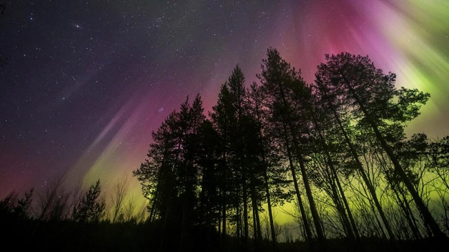 Aurora Borealis, also known as the Northern Lights, illuminates the sky over Rovaniemi, Finland October 10, 2026. Alexander Kuznetsov/Handout via REUTERS