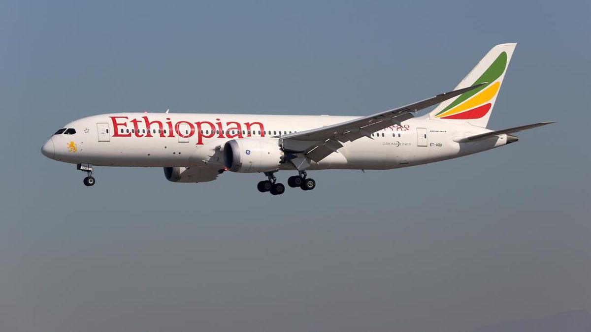 Pesawat Kargo Etiopia Dilarang Mendarat di Israel gegara Pilot WNI