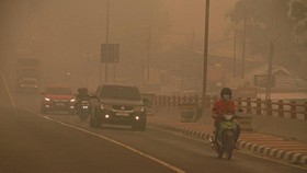 Para tokoh Gerakan Nurani Bangsa (GNB) mendesak pemerintah menetapkan status bencana nasional karhutla guna melindungi hak warga dan penanggulangan yang serius.