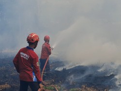8 Kebakaran di Tulungagung Sehari, 8.000 Ayam Mati Terpanggang