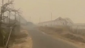 Sejumlah penerbangan di tanah Papua terkendala karena asap dampak karhutla beberapa waktu terakhir.