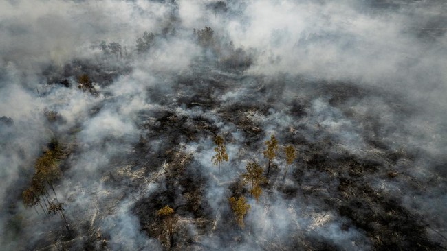 Foto udara asap membubung dari lahan gambut yang tebakar di Kalimantan Selatan.