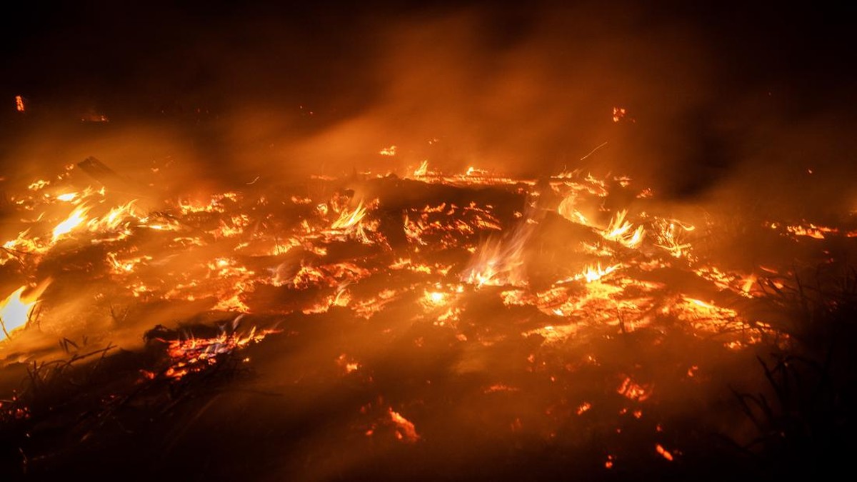 Api berkobar saat terjadi kebakaran hutan dan lahan (karhutla) di Kalimantan Selatan.