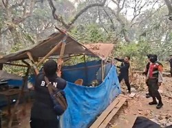 Polisi Gerebek Pondok di Kebun Duku OKI yang Dijadikan Peredaran Narkoba