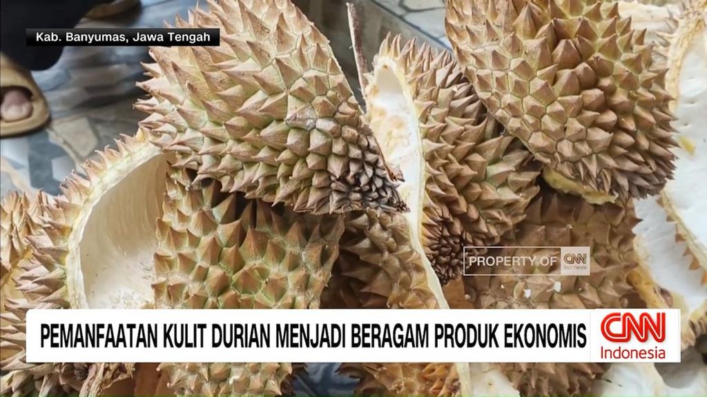 VIDEO: Manfaatkan Limbah Kulit Duriaan, Raup Cuan Jutaan Rupiah
