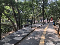 Catat! Ini Kriteria Pengunjung yang Kena Tarif di Wisdom Park UGM