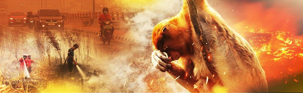image-hero