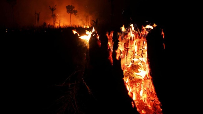 Hutan Amazon 'Sang Paru-Paru Bumi' Terbakar Dampak El Nino